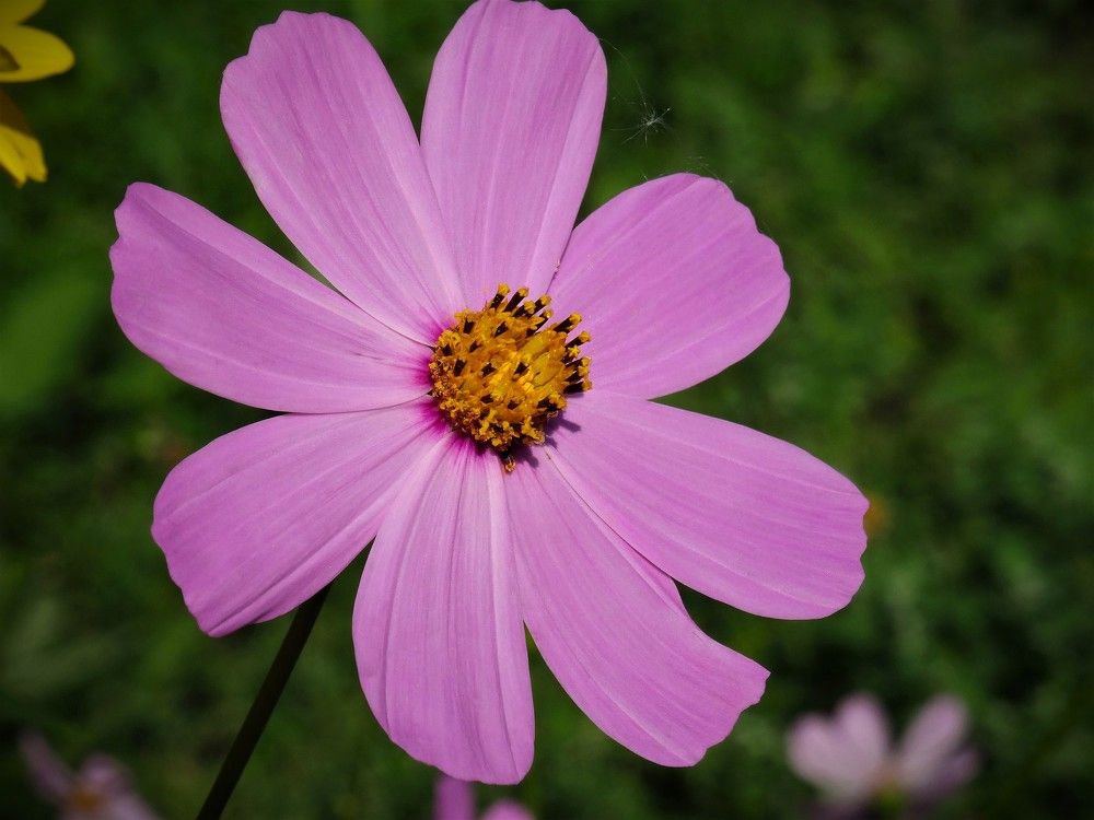 Photograph by Марина Раткун