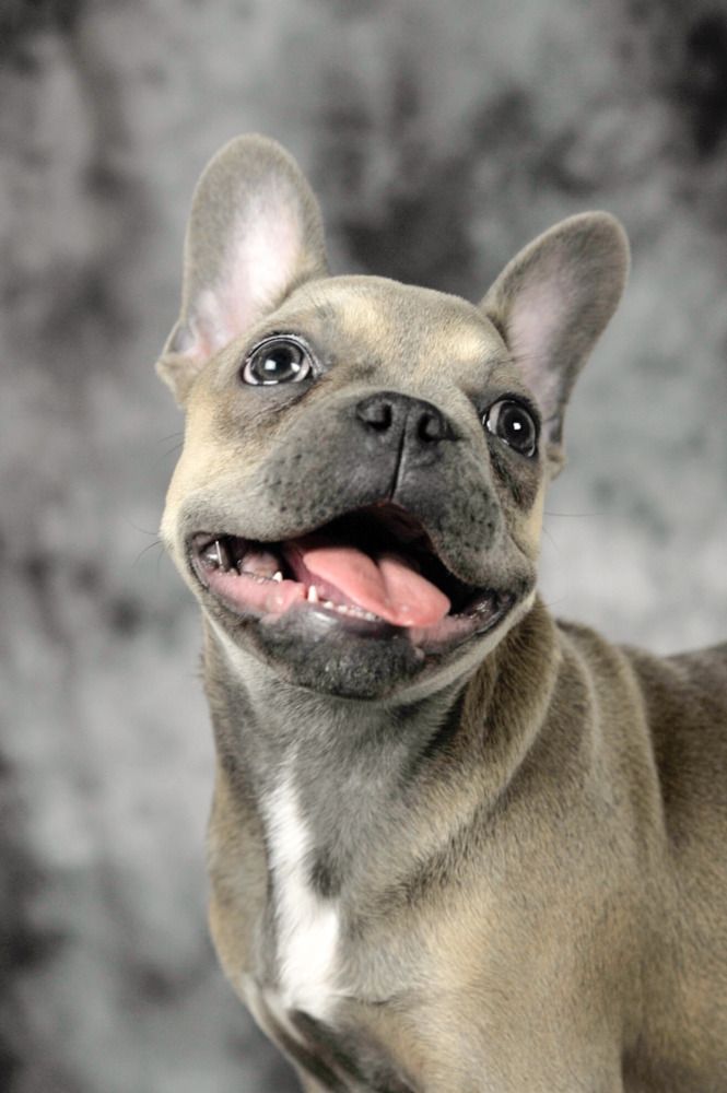 Photograph by Мария Лавриненко