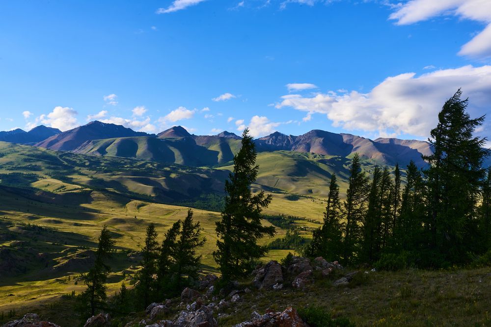 Photograph by Михаил Рогачев