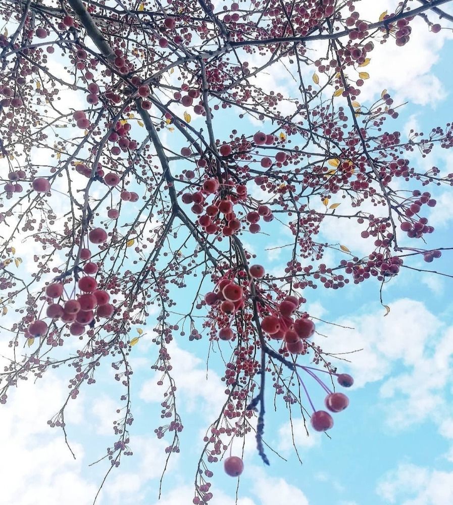 Photograph by Наталья
