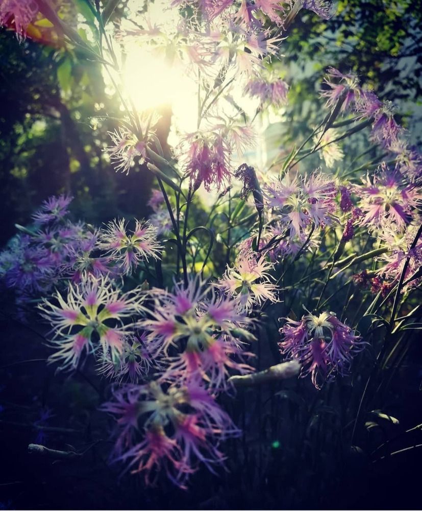 Photograph by Наталья