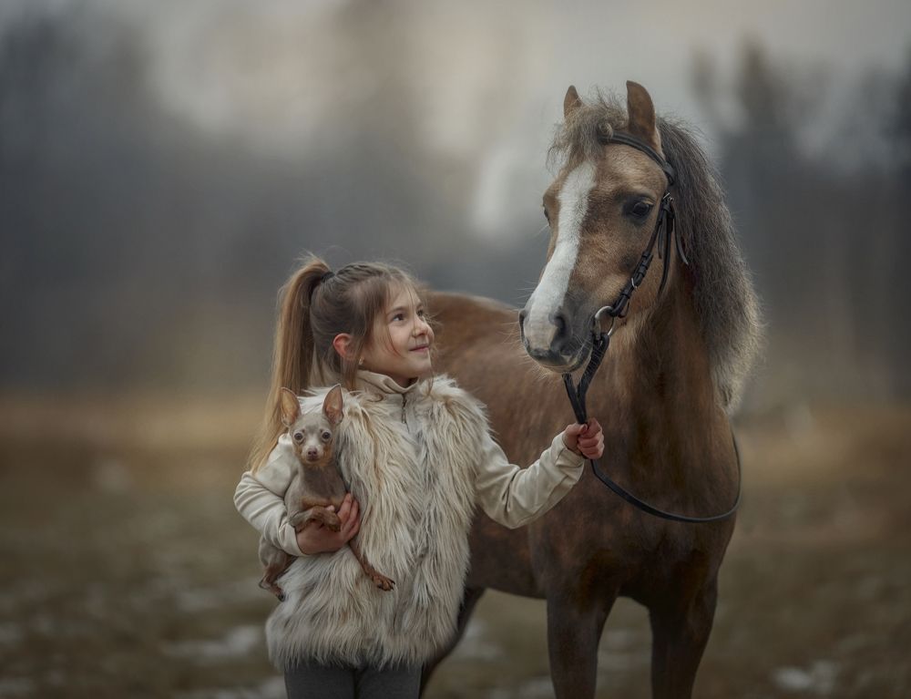 Фотография #11423254