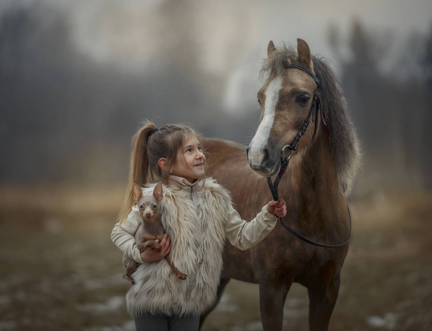 Фотография #11423254