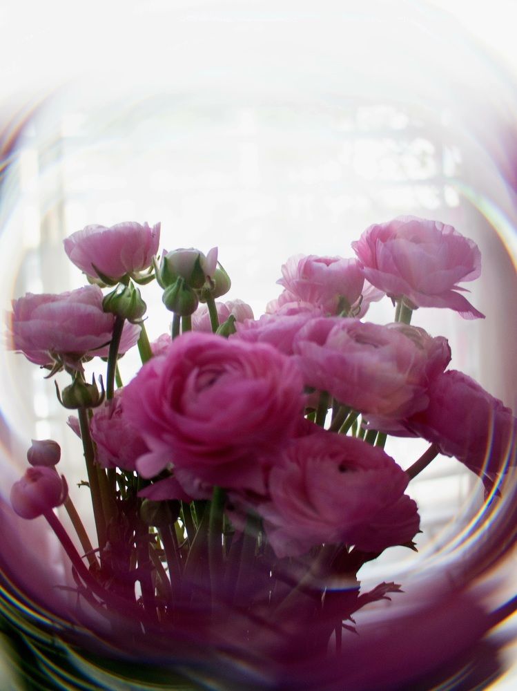 Фотография автора Galina Israilov