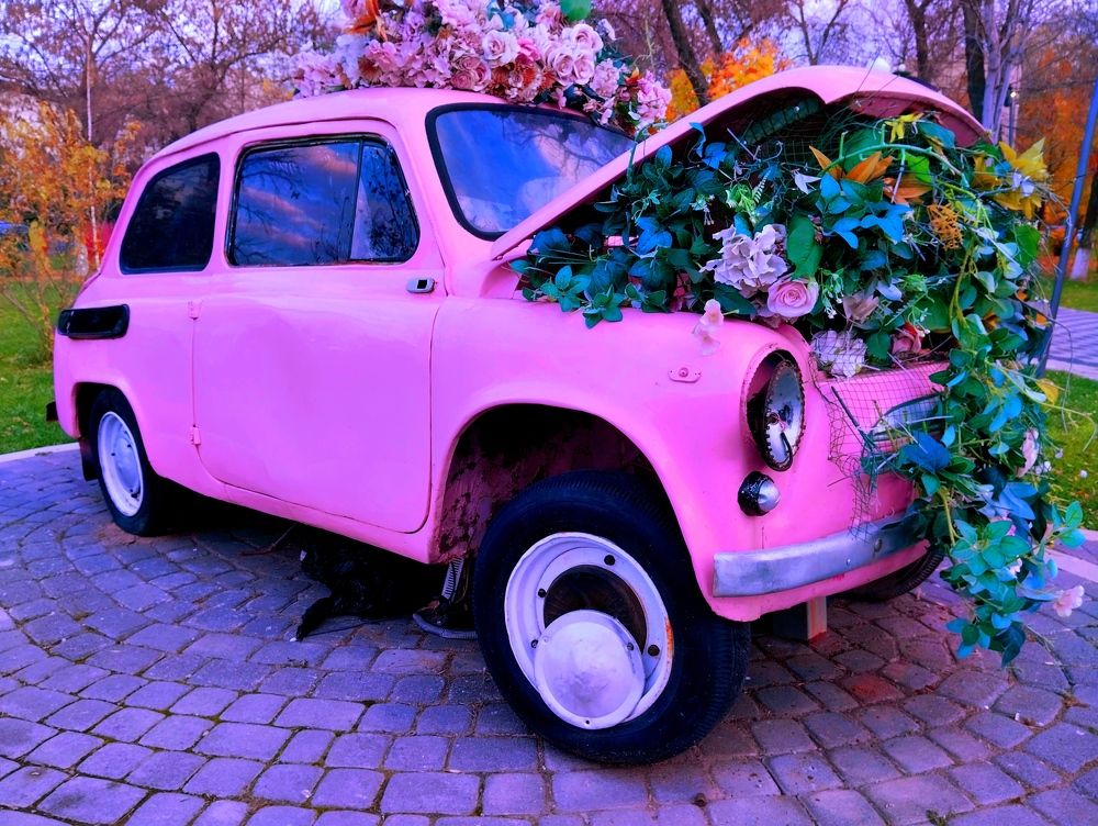 Photograph by Владимир Ким