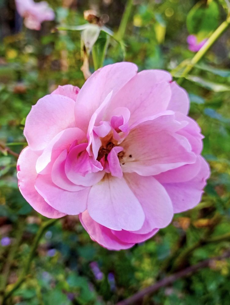 Photograph by Sergey Kurkov-Tarkovsky