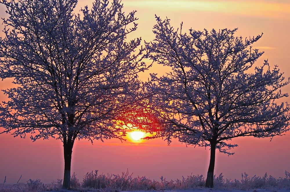 Photograph by Анатолий Святой