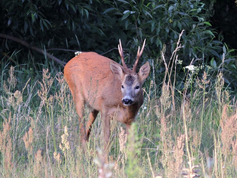 Photograph by Tatiana