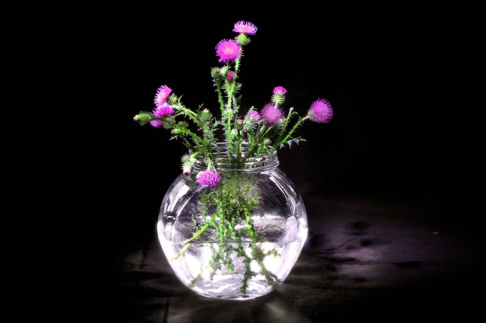 Photograph by Vitaliy Saposhnikov