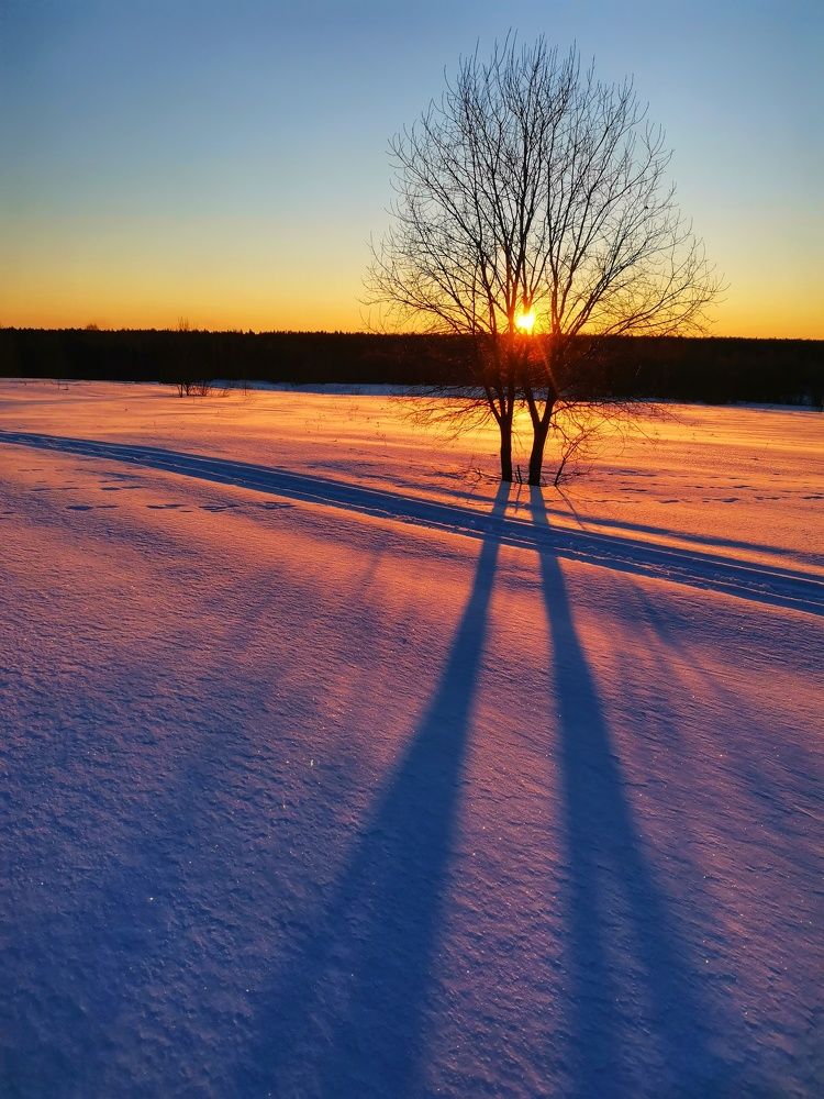 Фотография автора Андрей Шестаков