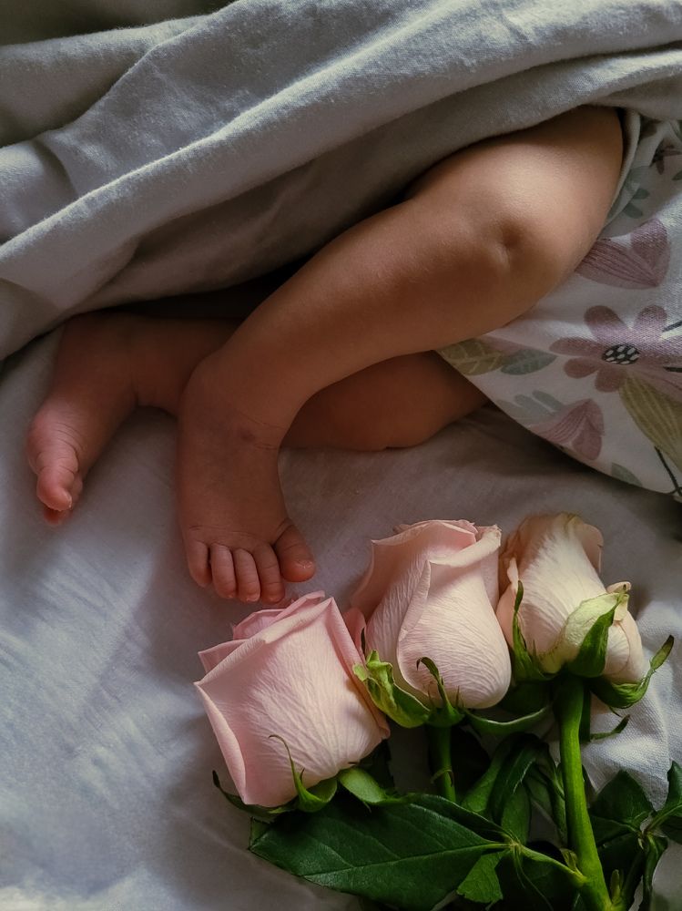 Photograph by Елена