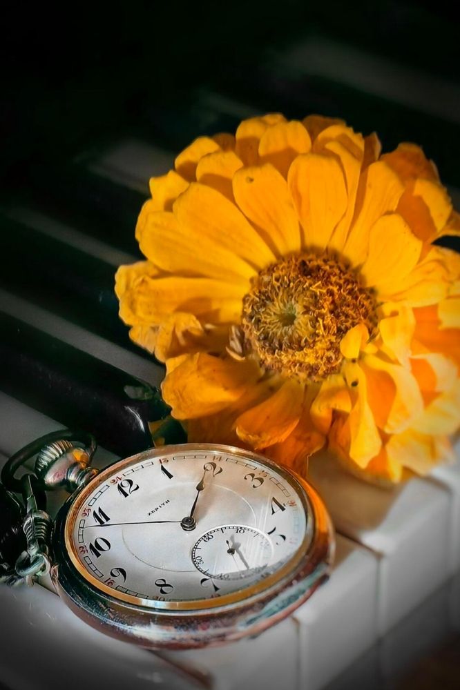 Photograph by Татьяна Бравая