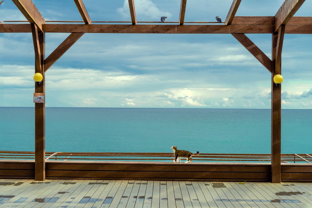 Photograph by Игорь Воробьев