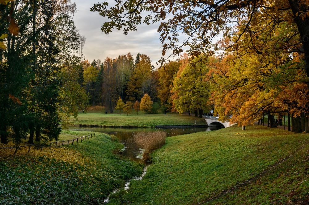 Фотография автора Мария Рохмистрова