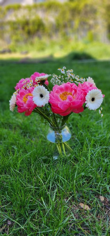 Photograph by Tatiana Denisova