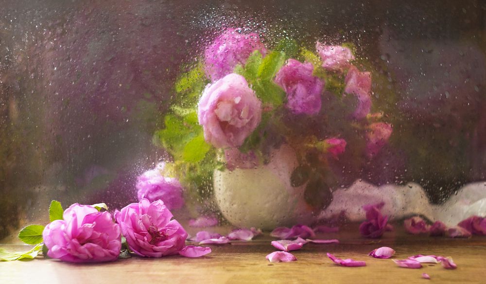 Photograph by Сушкевич Светлана