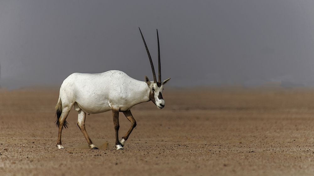 Photograph by Mukund Kumar