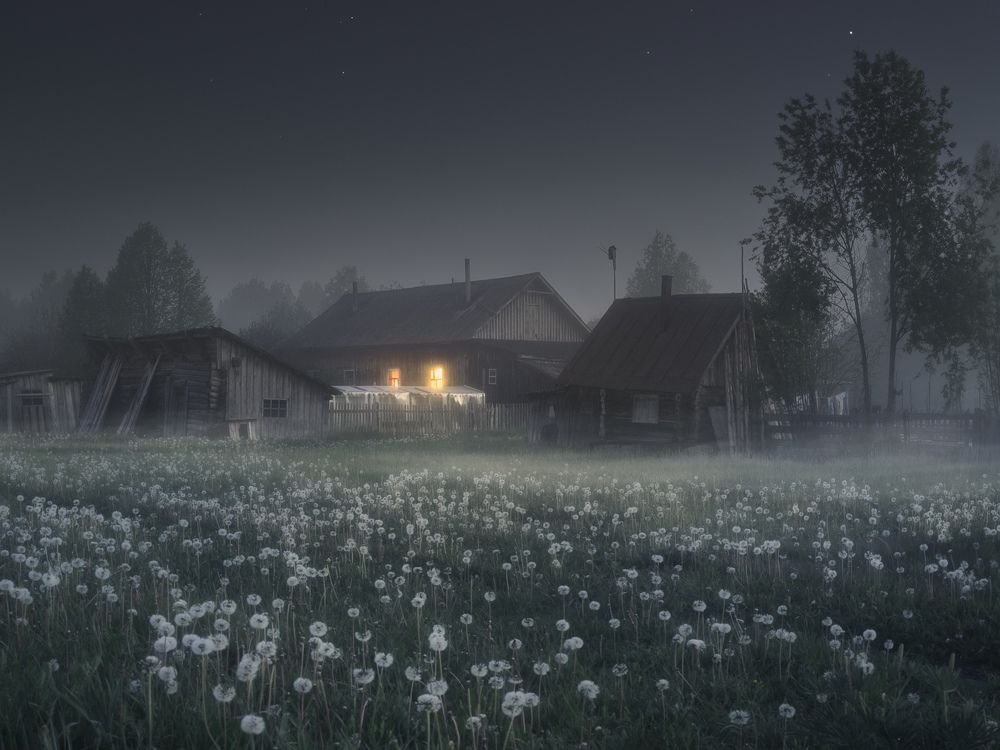 Дрема в одуванчиках