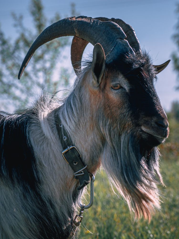 Photograph by Ольга Волкова