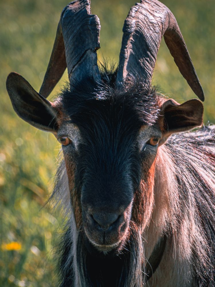 Photograph by Ольга Волкова