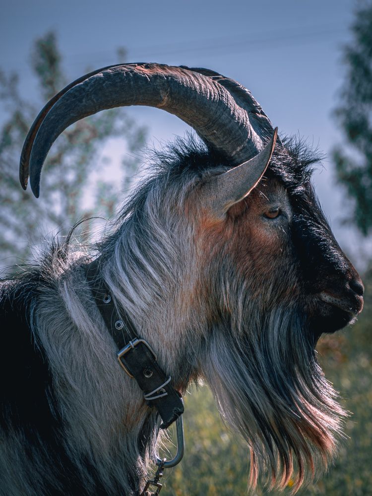 Photograph by Ольга Волкова