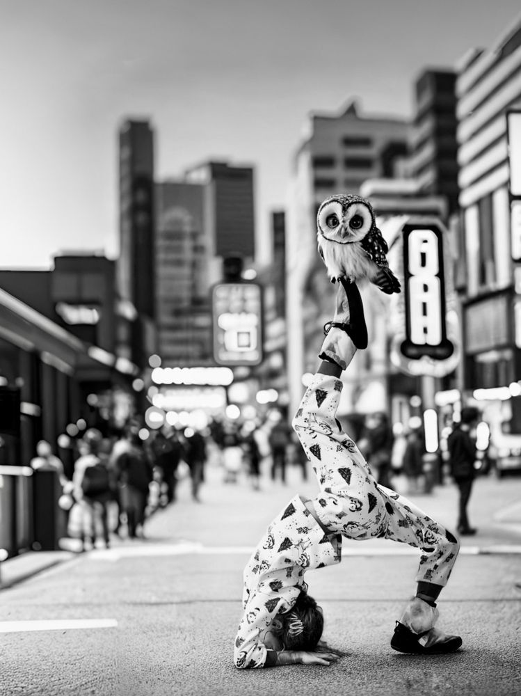 Фотография автора Сергей Гринис