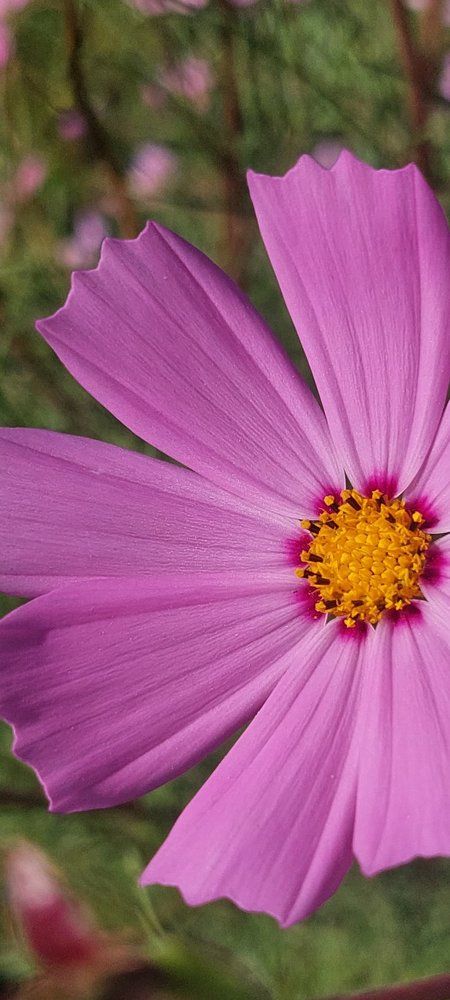 Photograph by Svitlana Usatenko