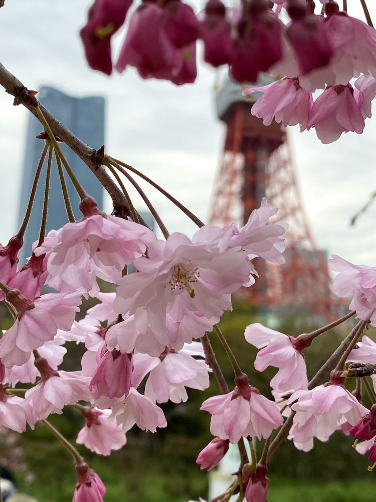 Фотография автора Ирина Бакалова