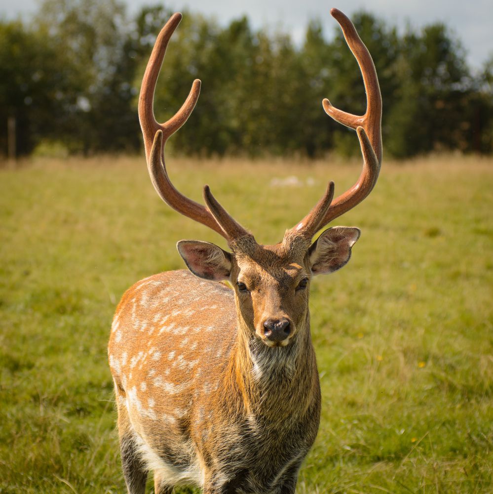 Photograph by Олег Бережных