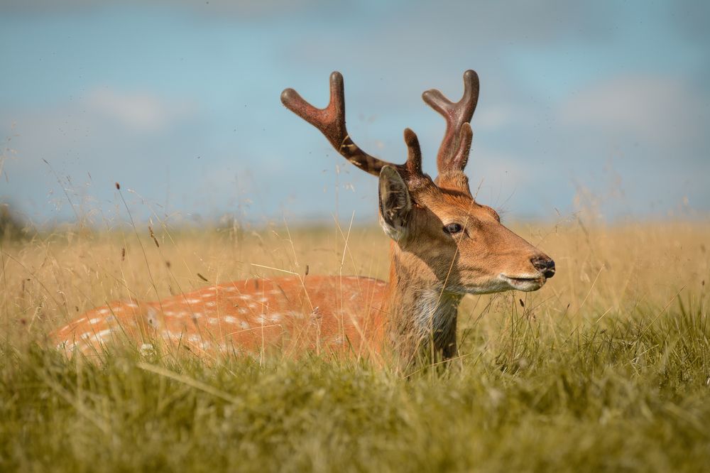 Photograph by Олег Бережных