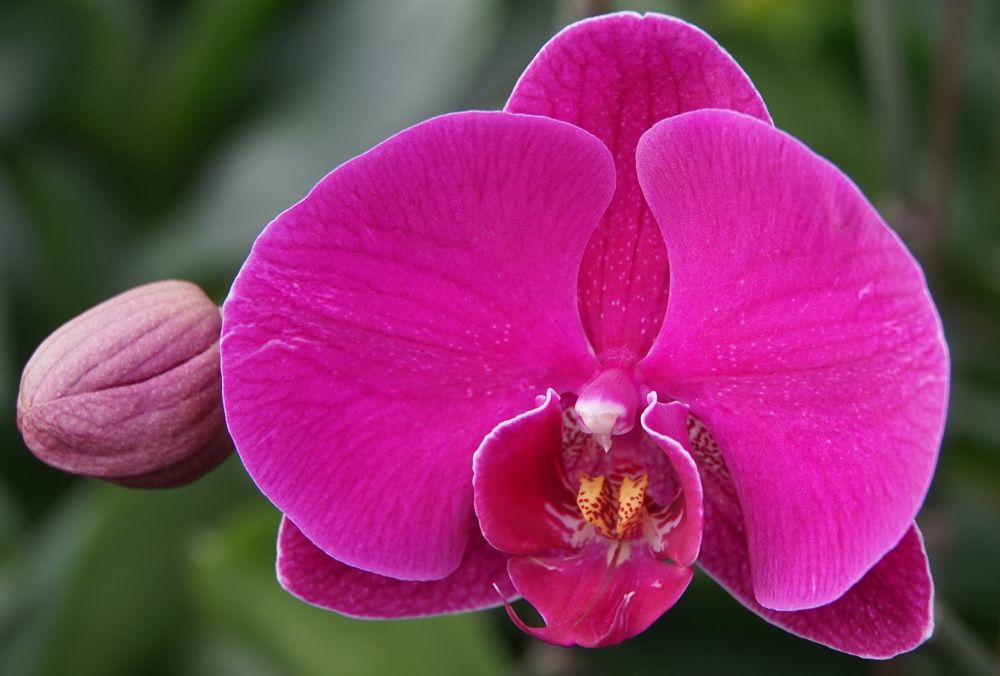 Photograph by сергей мишаков