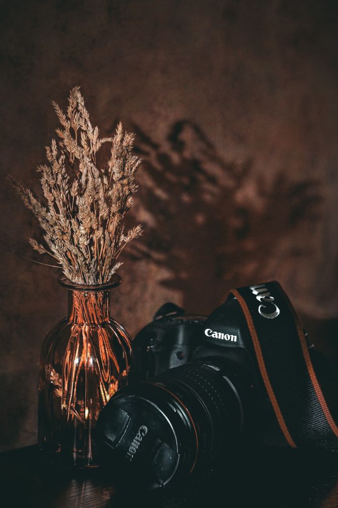 Photograph by Татьяна Бравая