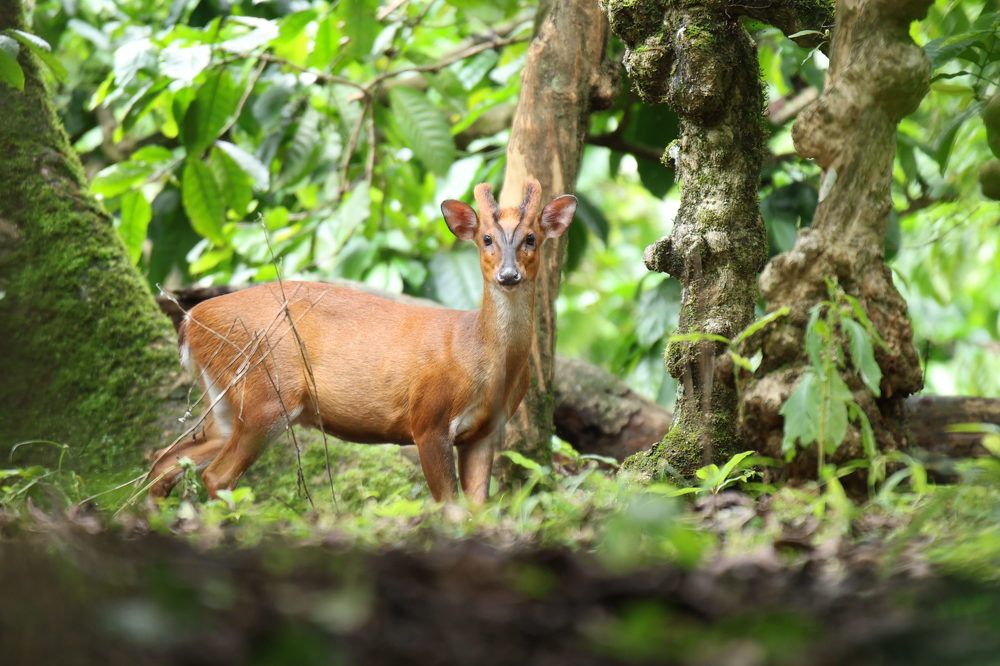 Фотография автора Gokul K. U