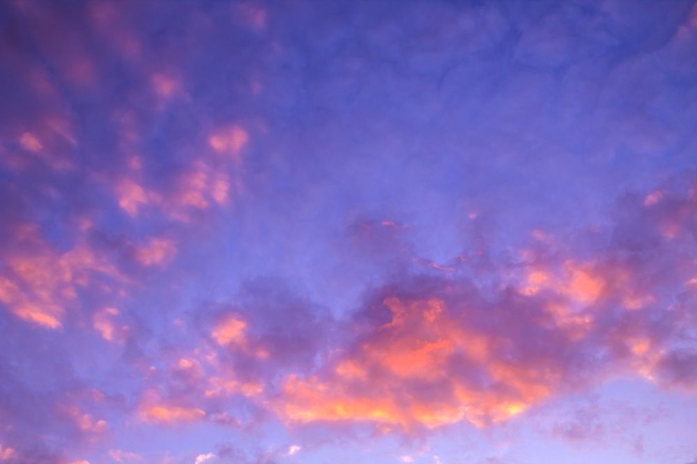 Photograph by Нестеренко Светлана