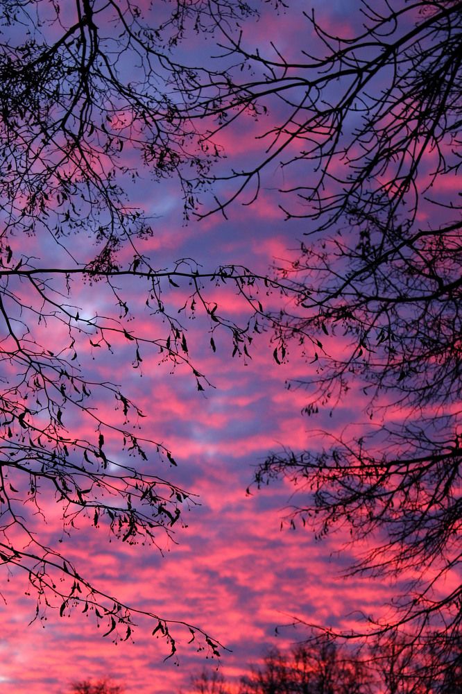 Photograph by Нестеренко Светлана