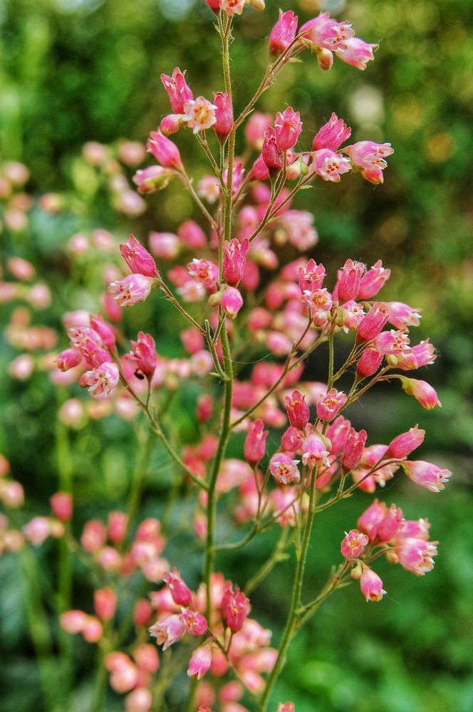 Photograph by Даниил Пузаков