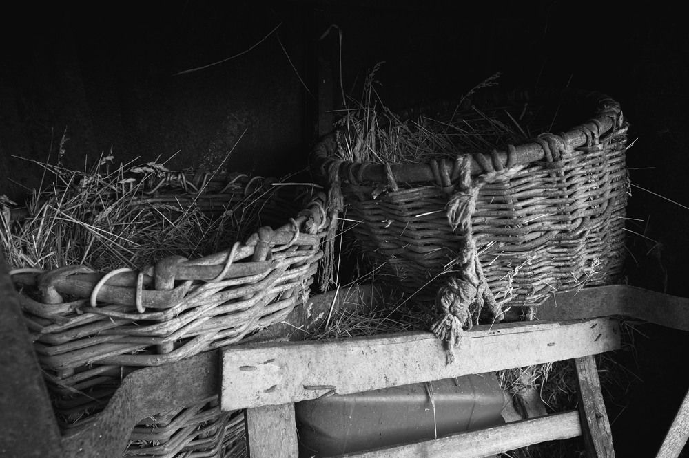 Photograph by Дарья Рыжкова