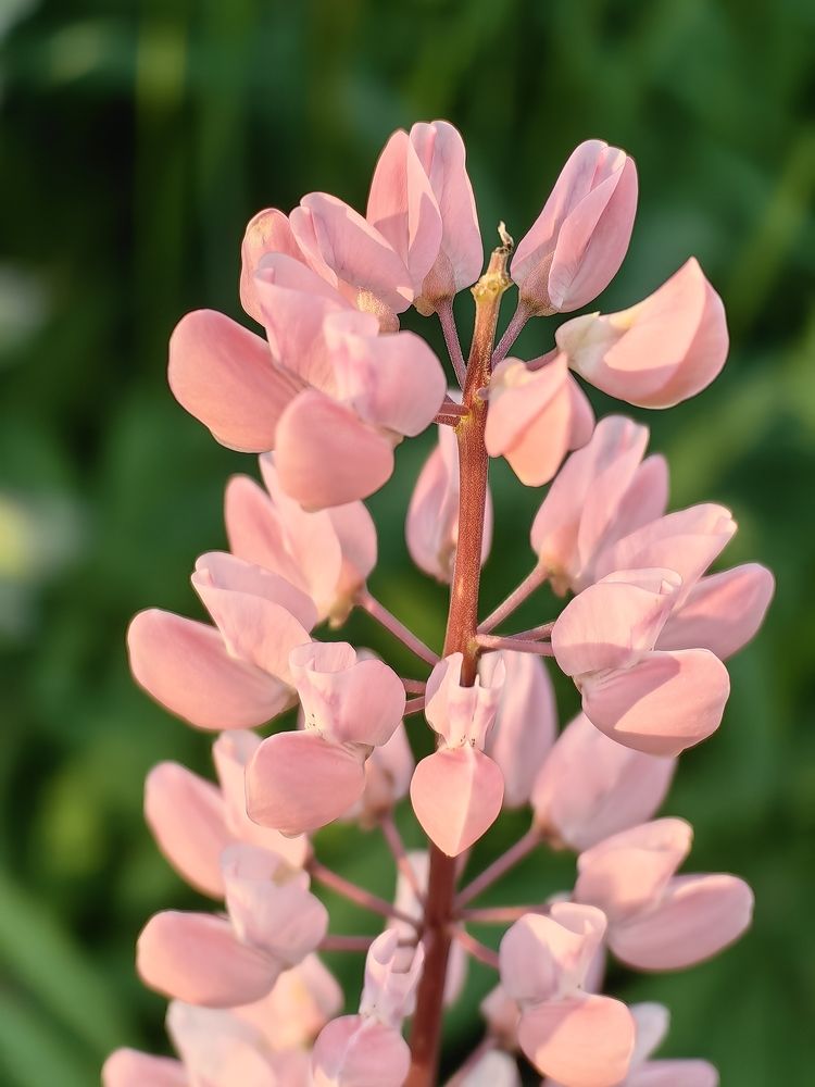 Photograph by Сергей Игнатьев