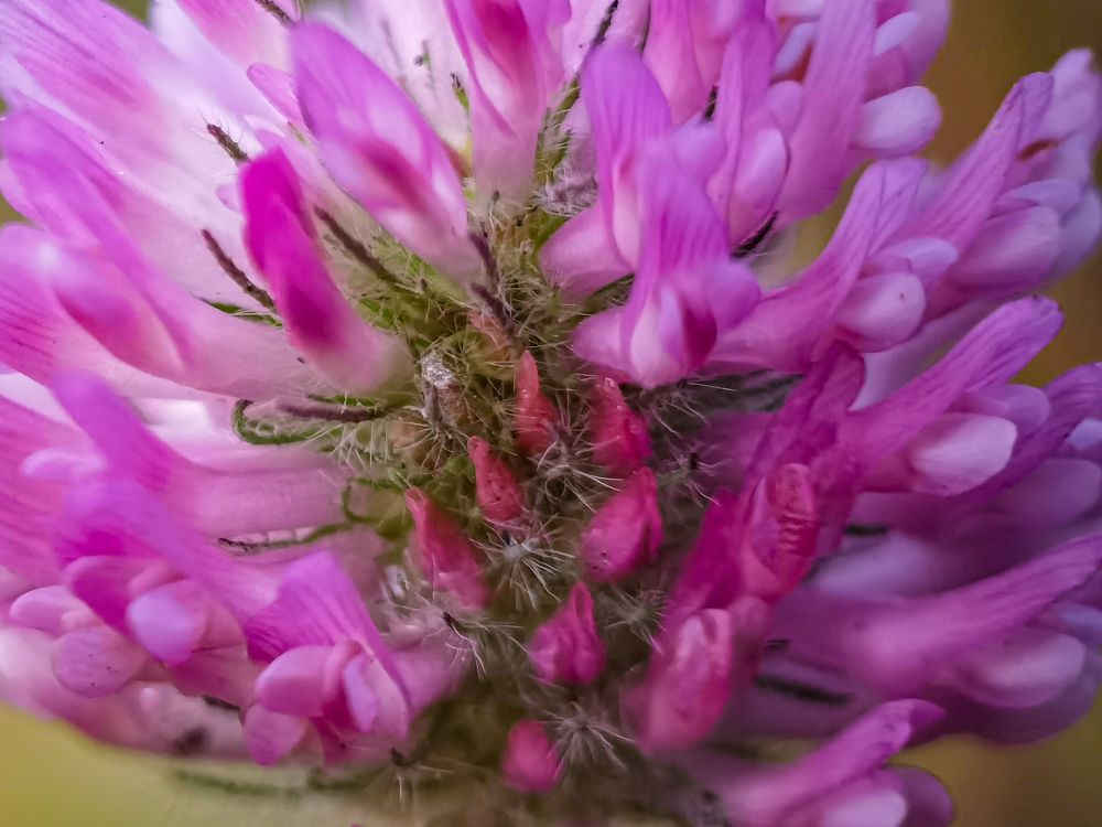 Photograph by Tanzilya Gabidullina