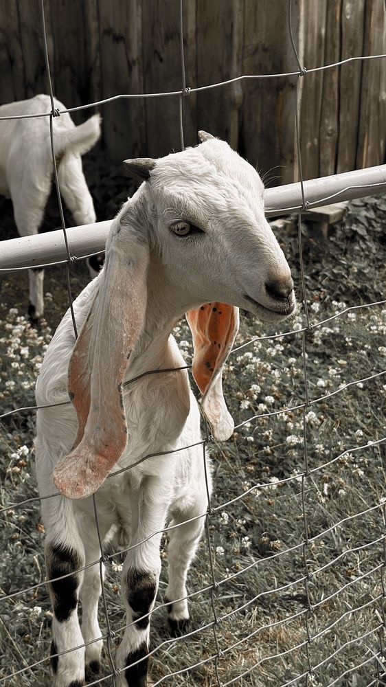 Photograph by Наталья Иванова