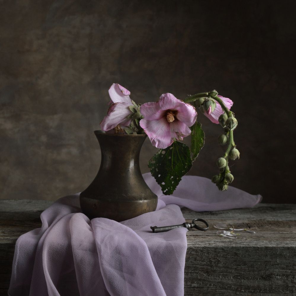 Photograph by Дина Полухина