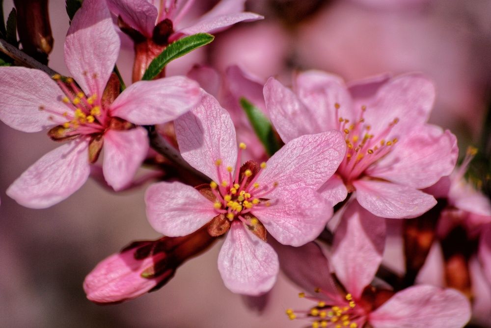 Photograph by Даниил Пузаков