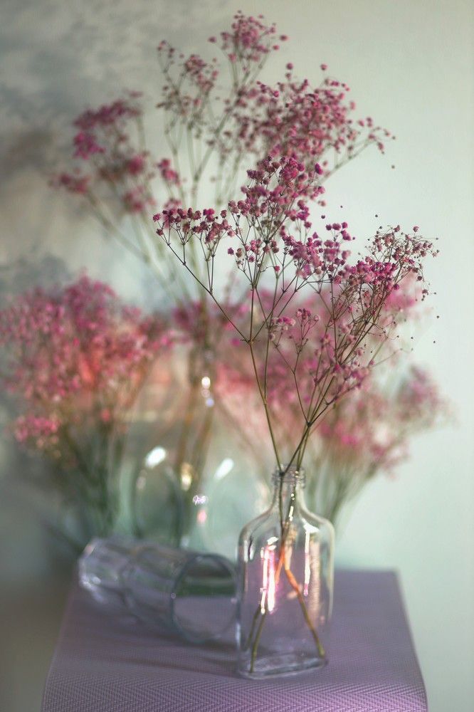 Photograph by Татьяна Максакова