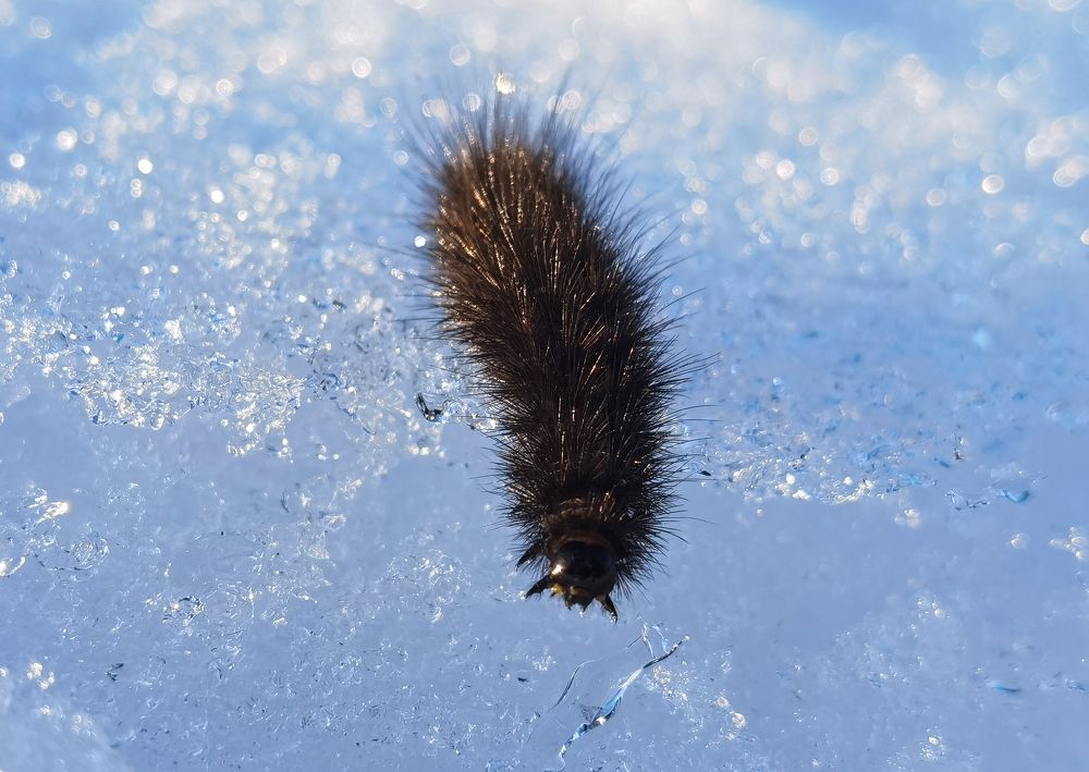 Photograph by Tanzilya Gabidullina