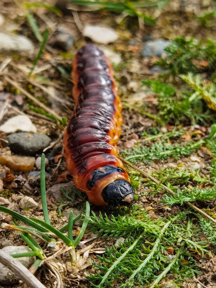 Photograph by Tanzilya Gabidullina