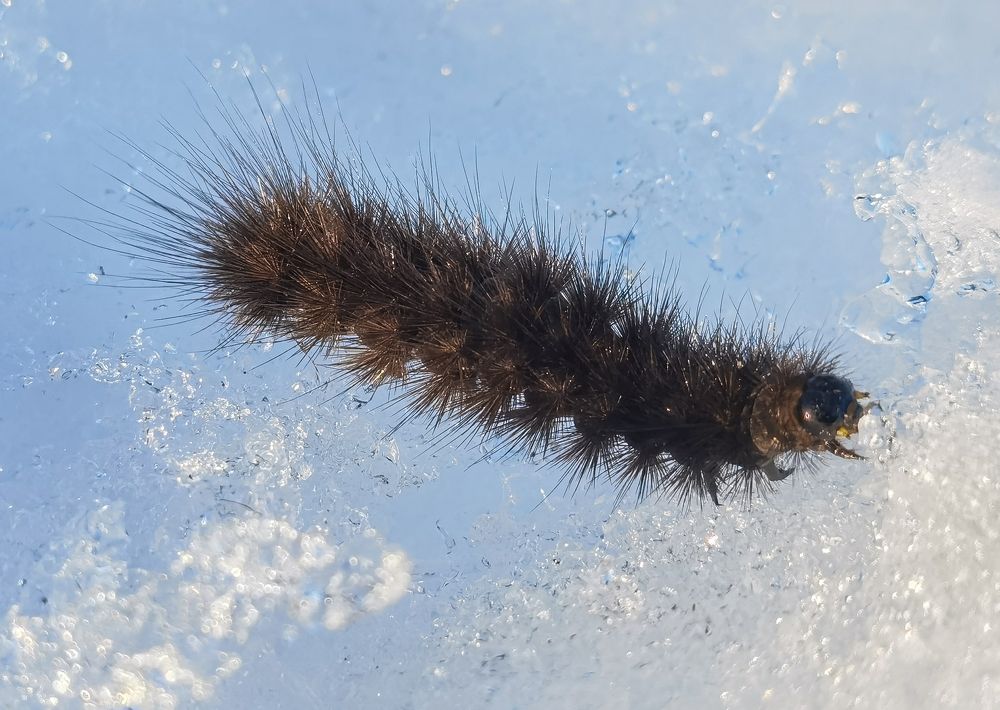 Photograph by Tanzilya Gabidullina