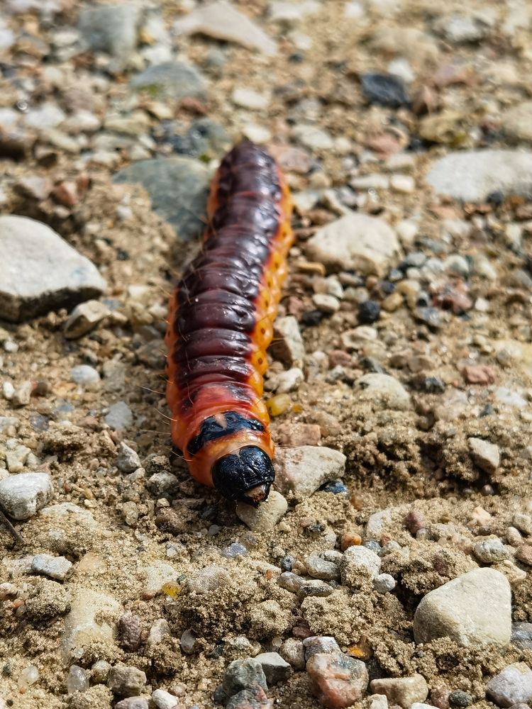 Photograph by Tanzilya Gabidullina