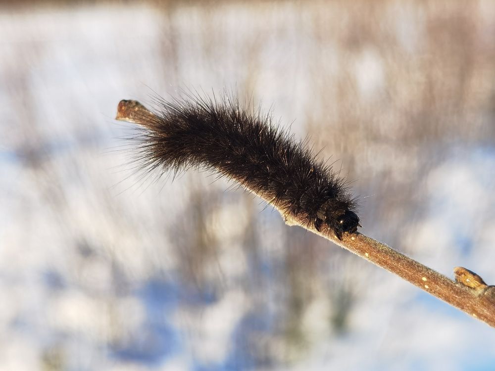 Photograph by Tanzilya Gabidullina