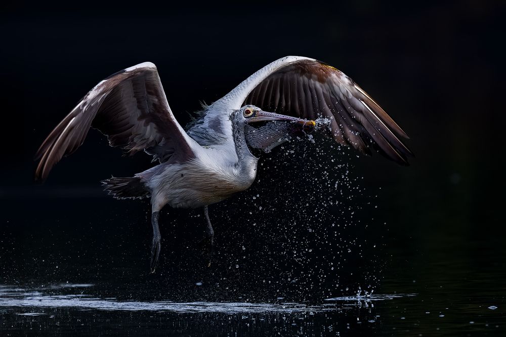 Photograph by Sandeep Dutta