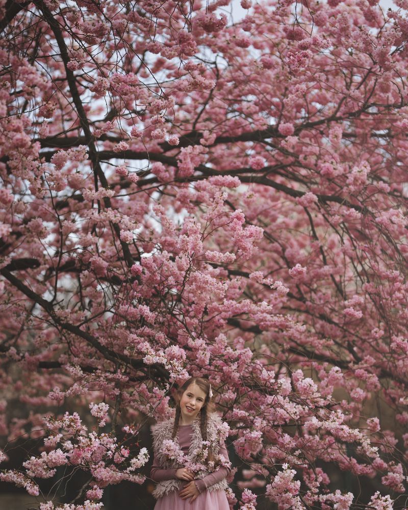 Photograph by Zuzana Zezulova